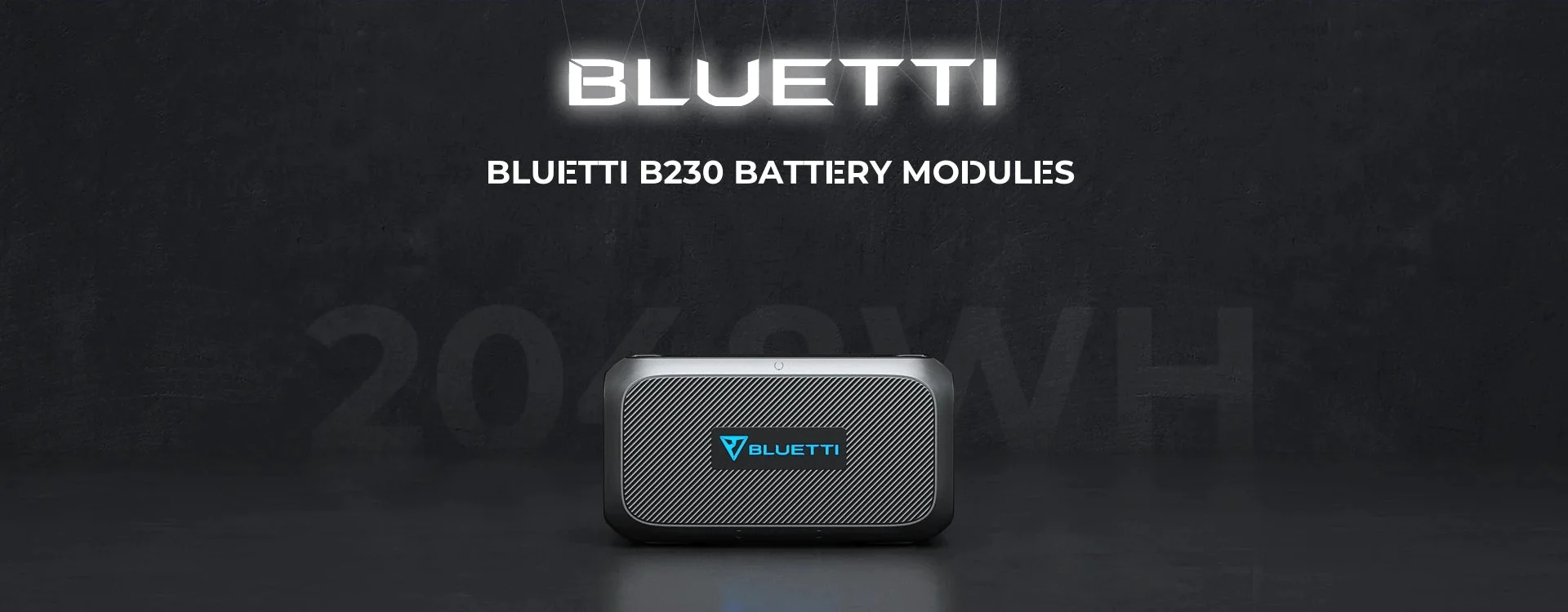 BLUETTI B230